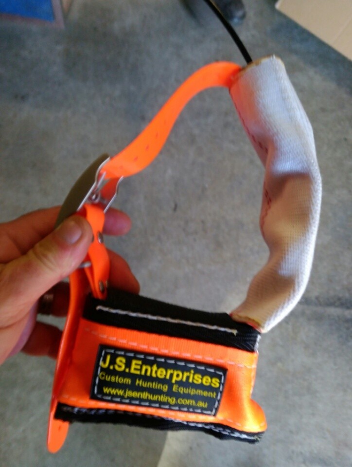 dc30 tracking collar