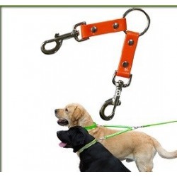 DUAL TWO DOG COUPLER TETHER