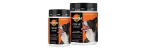 Canine Vitamins and Supplements