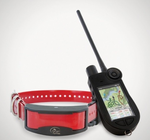 The 4 Best SportDOG Remote Trainers Of 2021